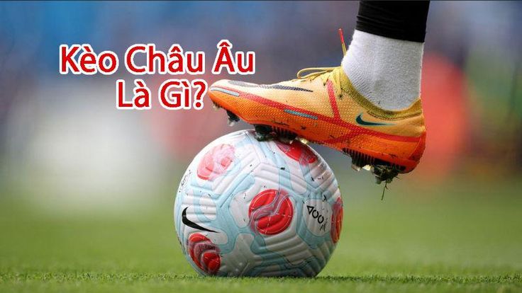 Khuyết tật châu Âu là gì? - Cách Thắng Lớn Trong Cá Cược - SV288 | Châu Âu, Preston, Chậu