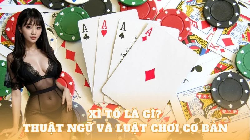 Xì tố là gì: Thuật ngữ và luật chơi xì tố cơ bản - Thần Bài 2024 INFO